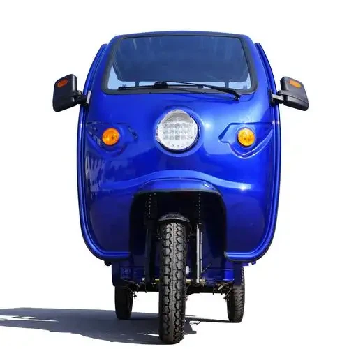 Light Duty Electric Torgo Tricycle
